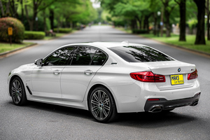 렌터카 BMW 530e M Sport(19-23) - photo 6
