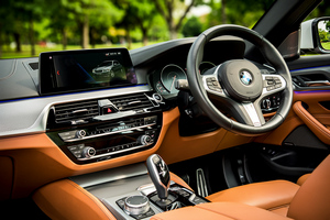 렌터카 BMW 530e M Sport(19-23) - photo 10