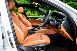 렌터카 BMW 530e M Sport(19-23) - photo 11