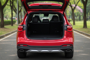 렌터카 MG HS (22-24) - photo 9